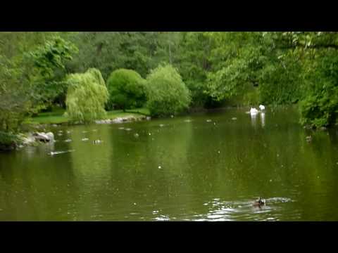 Palanga, Lithuania - Pond near Amber Museum