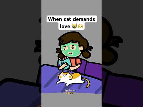 When cat demands love ❤️❤️❤️