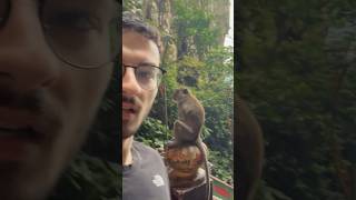 Craziest 6 Months of my Life! - Fulltime Trader Reality #daytrader #daytraderlife #traderlifestyle