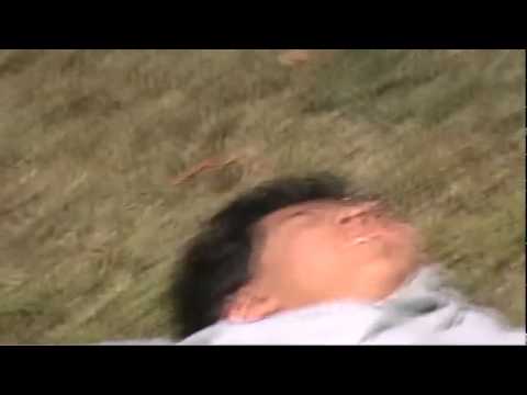 Luis jumps off roof