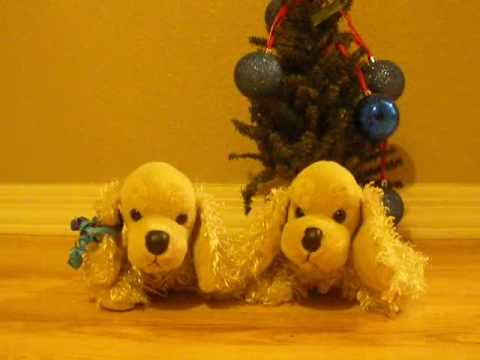 the american cockerspaniel show