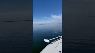 Birds #boats #fun #snook #tarpon #beyondbraid #actioncraft #fishingfun