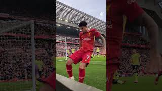 Passion From Lucho 😤