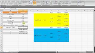 VsCap: How to create a Binomial Model in Excel
