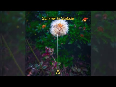 Andrew Junior · Summer In Solitude