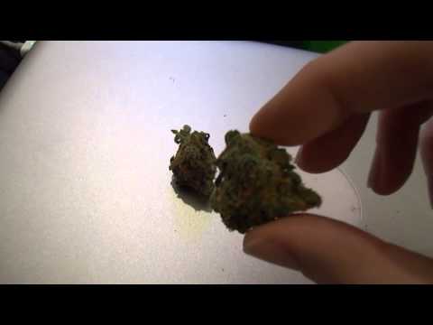 Wow!  Thank you! Bud shots and high ramblings