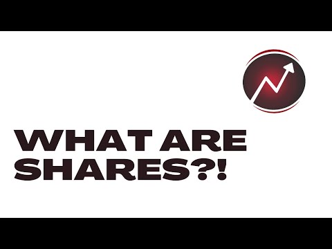 what are shares?!