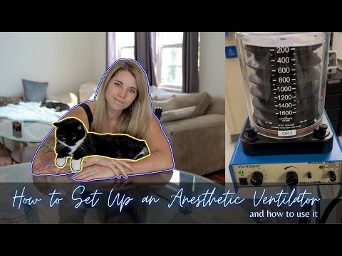 Vet Med: How to Set Up an Anesthetic/Surgical Ventilator (and how to use it)