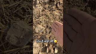 ਬਹੁਤ ਧਿਆਨ ਰੱਖਿਆ ਸੀ ਨਾਲੇ 😥 #jattvibes #westernpendu855 #minivlog #punjabi #jattlife #minishorts