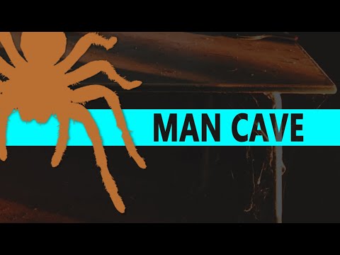 Audio Reaction | Spider Web Audio Spectrum - Music Visualizer (After Effects - No Plugins)