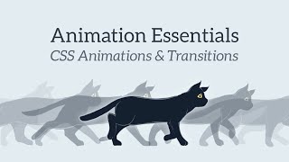 CSS Animations and Transitions Course Intro/Teaser