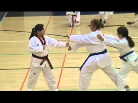 Monticello Academy TKD Demo in Honor of Fukuda Sensai