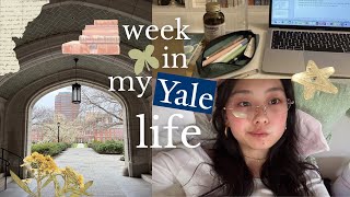 uni vlog @ yale 📔⭐️: finals week prep, late night studying, bulldog days shows