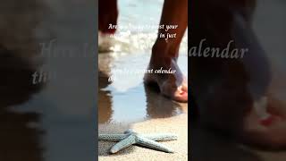 Unlock the secrets to social media success with our 14-day content calendar! 🚀✨ Elevate your