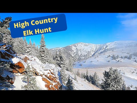 Solo High Country Elk 2020