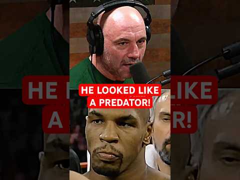 Joe Rogan Talking About Mike Tyson After Prison #miketyson #joerogan #mma