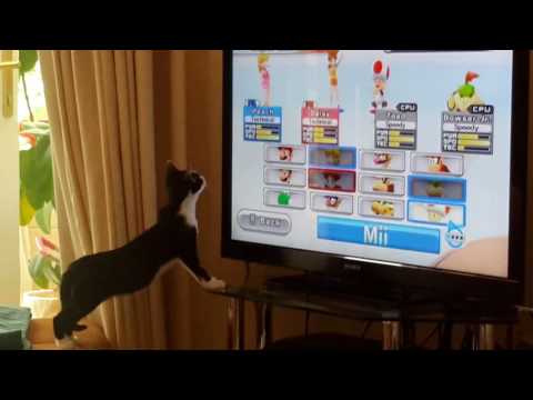 Lucy wants to Wii