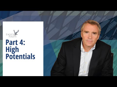 Part 4: High Potentials - The HR Cycle - Eagle's Flight