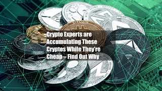 Crypto Experts are Accumulating These Cryptos While They’re Cheap – Find Out Why