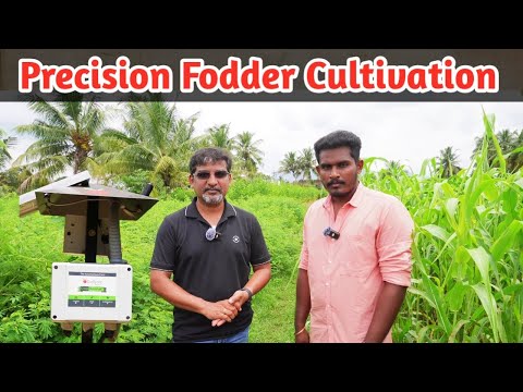 Precision Fodder Cultivation using Grotron | Precision Farming | Country Farmss English | Farmagain