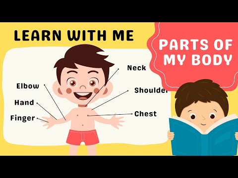 Body - Parts of the Body Song - Learn English for kids - Learn Body Parts Kids