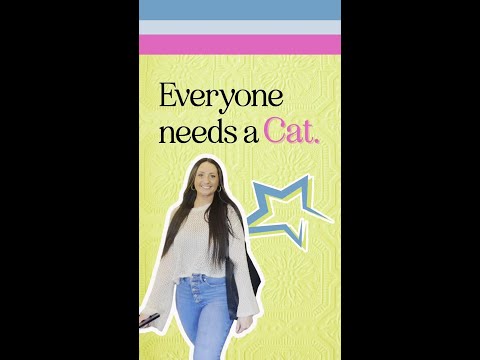 Stellar Edge - Cat
