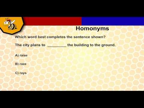 11+ Challenge Question on Homonyms