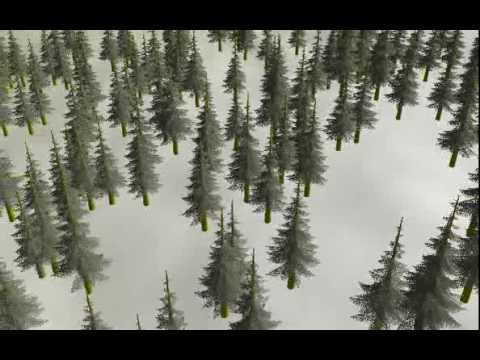 Pinetree LOD test