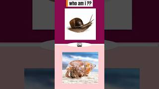Guess the picture part 6 #guess #guessthepicture #guessanimal #youtubeshorts #youtube #shortvideo