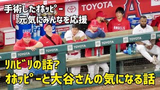 手術したオホッピー元気そう 大谷さんとオホッピーの気になる話　エンゼルス Angels  大谷翔平 Shohei Ohtani 現地映像