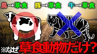 【全て草食動物】なぜ肉食動物の肉を食べてはいけないのか【雑学】【ゆっくり解説】