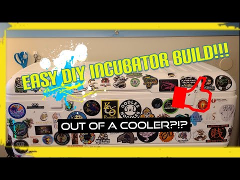 How to build your own incubator!!!