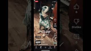 Ripps YouTube Debut!