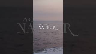 Agent Nateur Ageless Malibu Beach House IV drips with Vita Life MD