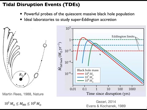 Studying Tidal Disruption Events and Luminous Fast Blue Optical Transients (Yuhan Yao)
