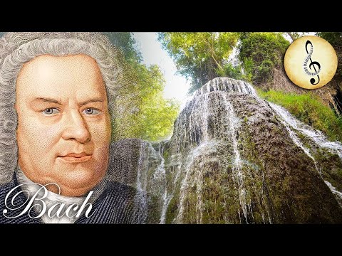 Bach: Prelude in C Major, BWV 846, The Well-Tempered Clavier 🎼 Classical Piano Music