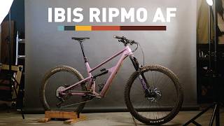 Ibis Ripmo AF Review: The Best Trail Bike Under $4000?