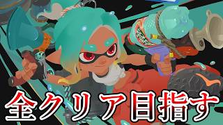 スプラトゥーンレイダースを最高に楽しむ！！