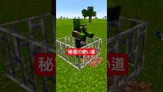 Secret Uses for Iron #Minecraft #shorts