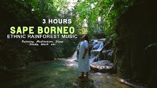 3 Hours Sape Borneo Ethnic Music | Rainforest Vibes For Meditation, Relaxing, Mindfulness. etc
