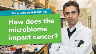 How does the gut microbiome impact cancer?