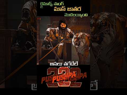 పుష్ప 2  క్లైమాక్స్ సాంగ్ #shorts #trandingshorts #AlluArjun​ #Pushpa2TheRule​ #DSP​#Pushpa2Teaser​