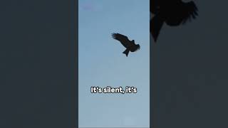 Vultur Trojan The Return of the Android Menace #cybersecuritynews #menace #cybersecurity