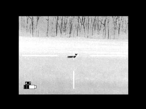 IR Hunter MKII - Coyote 6.8
