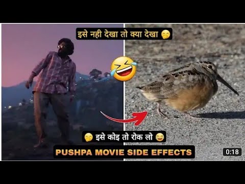 pushpa movie said effects