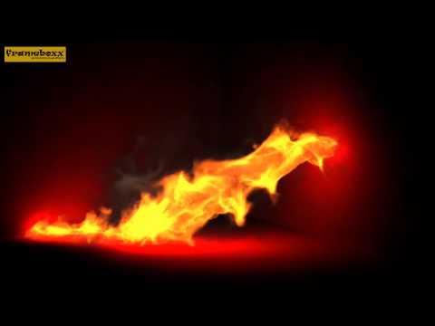 DYNAMICS SHOWREEL
