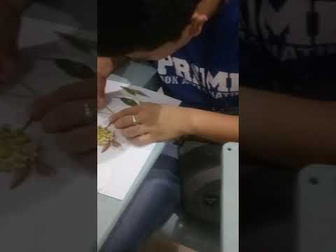 Petmalu si LODI - Prime School Learner