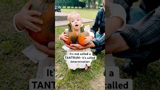 Strongest baby in the world? #funnybabyshorts #siblinggoals #pumpkinpatch #pumpkinpicking