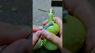 #shorts #agritools #farming2024 #agriculture  #JIKreactionagritools in farming 2024