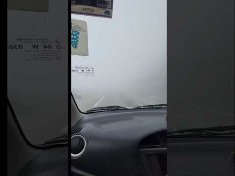 Foggy drive #arunachaltourism #arunachalpradesh #selapass #tawang #fog #ytshorts #shorts